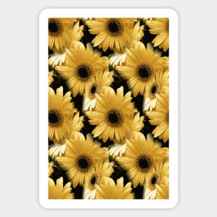 Yellow Daisies Sticker